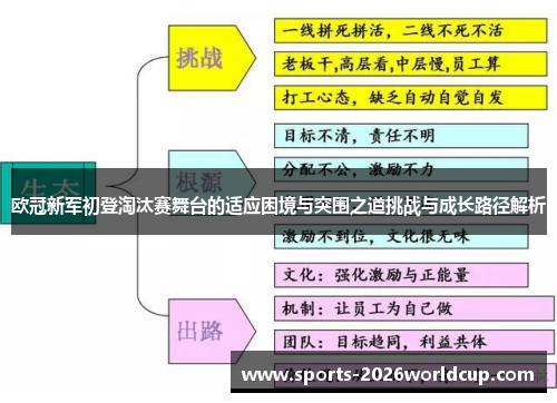 欧冠新军初登淘汰赛舞台的适应困境与突围之道挑战与成长路径解析