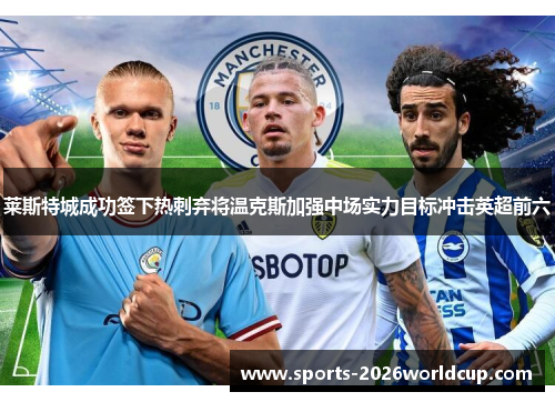 莱斯特城成功签下热刺弃将温克斯加强中场实力目标冲击英超前六